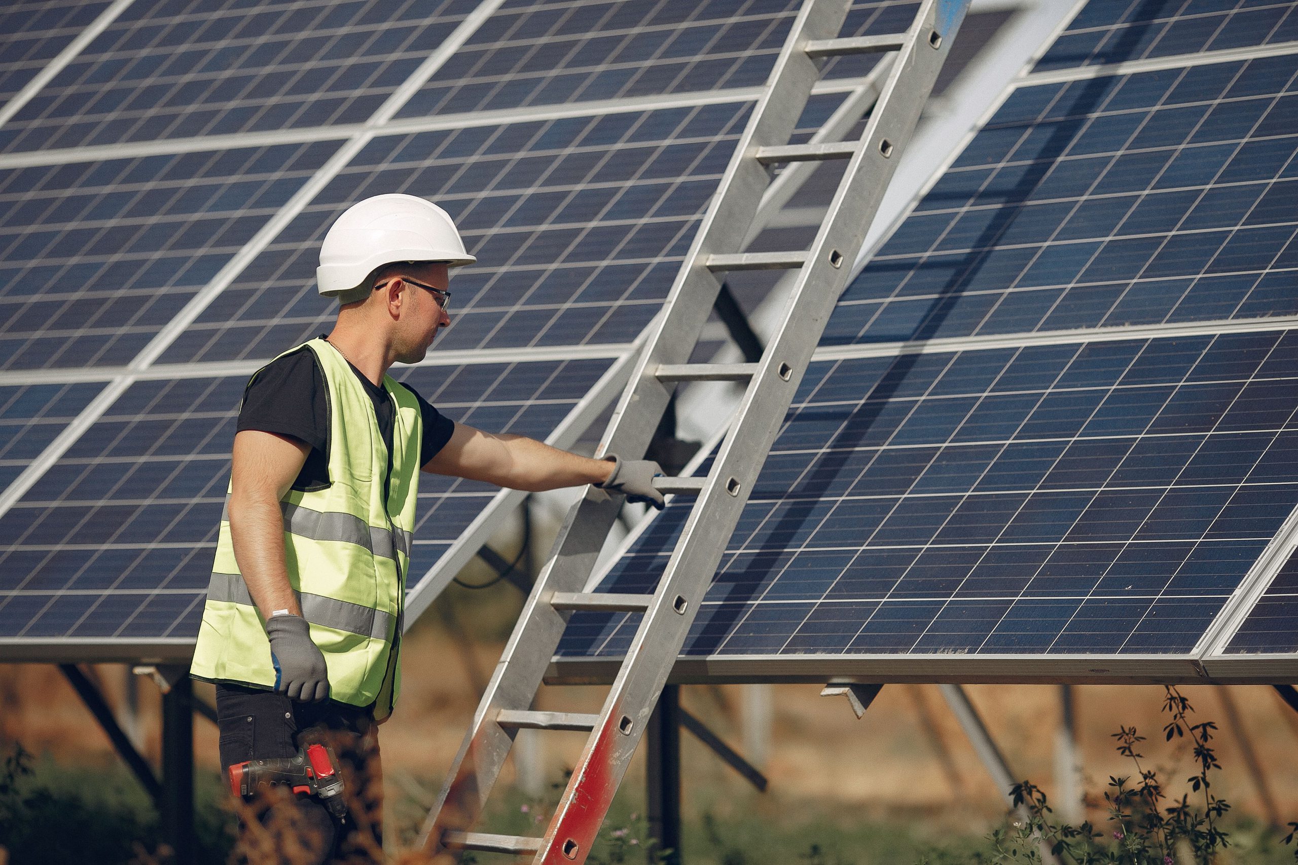 Worker inspecting solar panels with ladder.